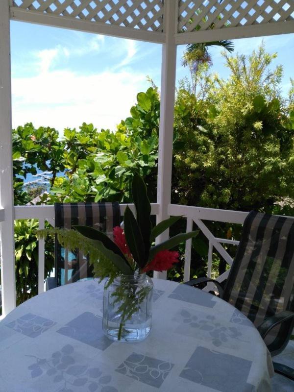 Columbus Heights Apartment Ocho Rios Zewnętrze zdjęcie